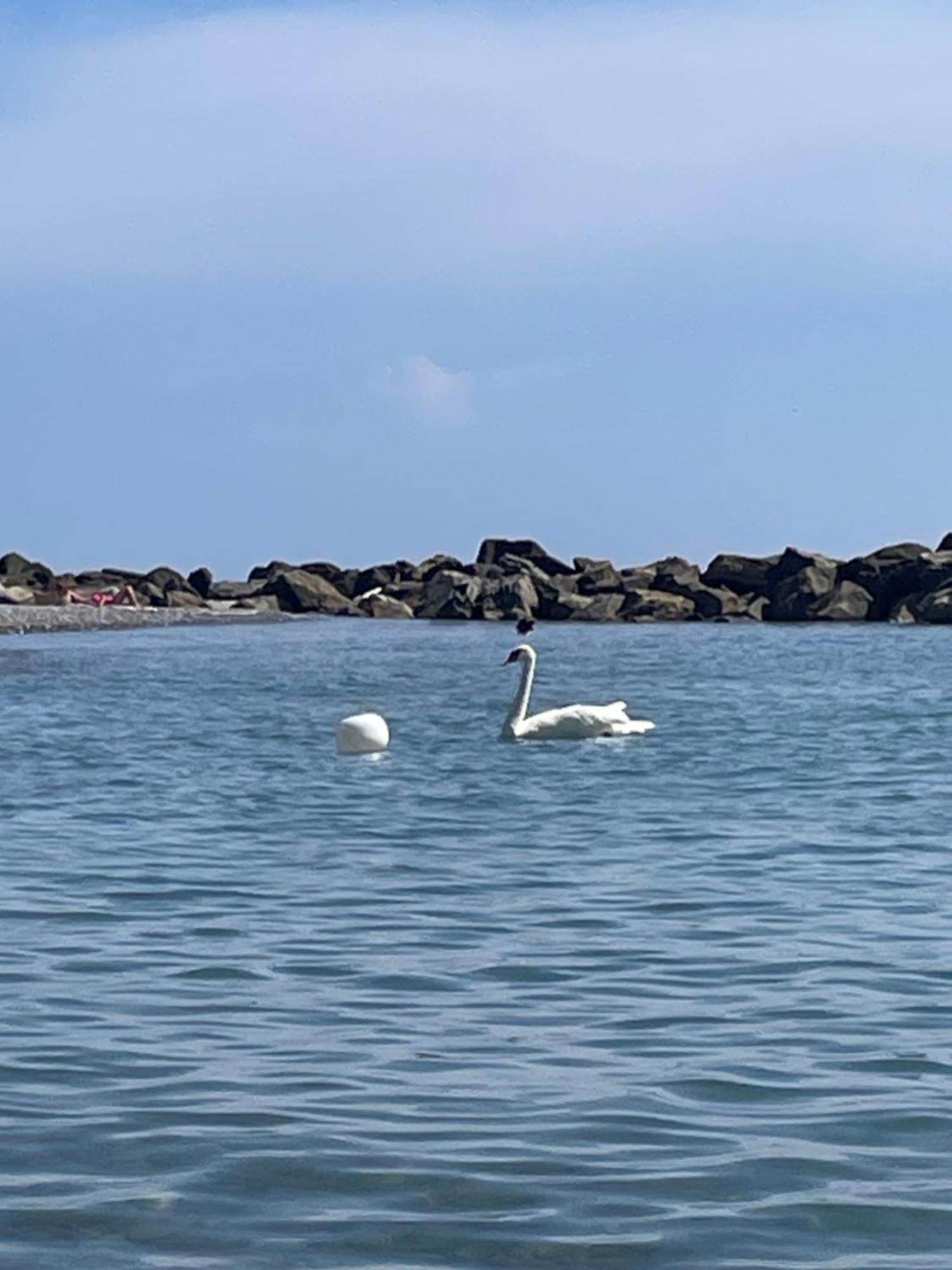 Apartament Casa Aiga Marina Ventimiglia Zewnętrze zdjęcie